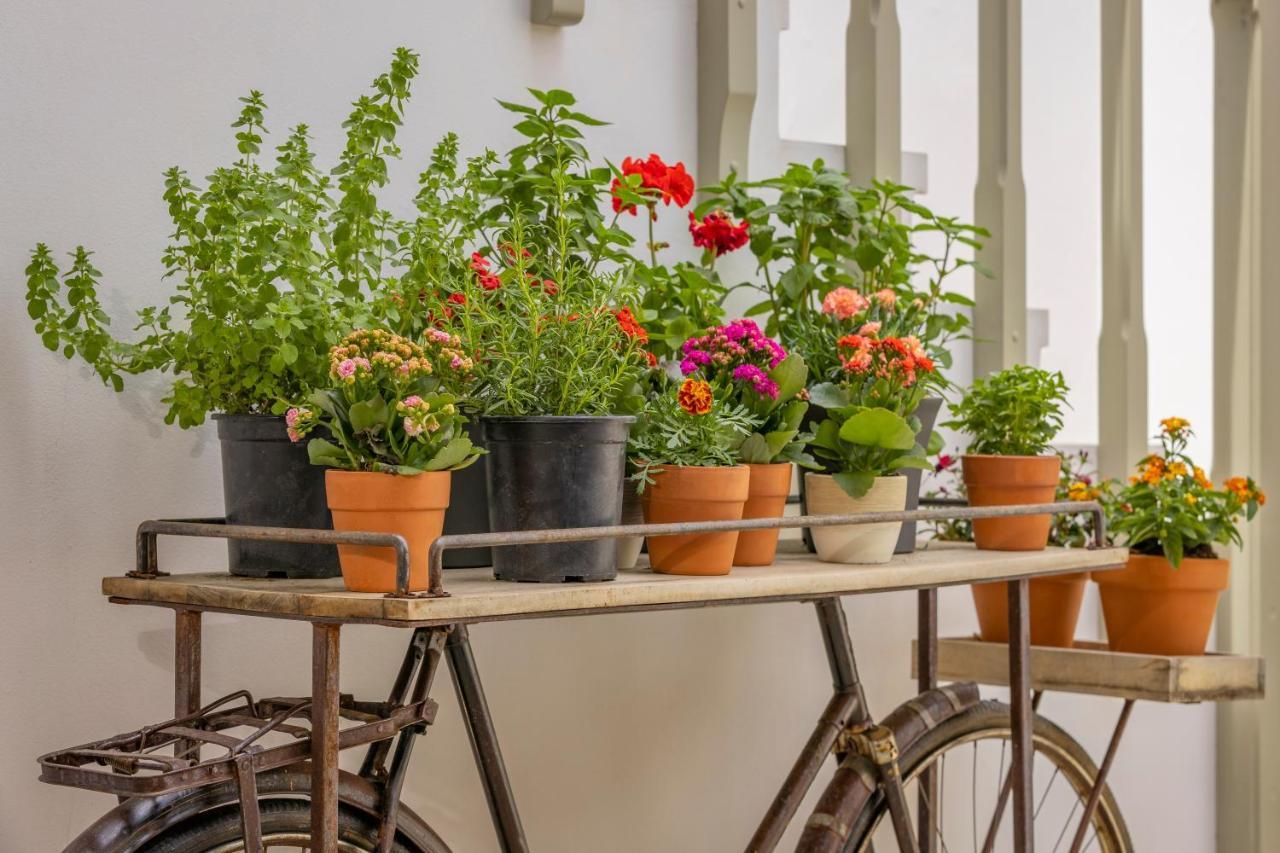 Amarada City Suites Rhodes City Εξωτερικό φωτογραφία